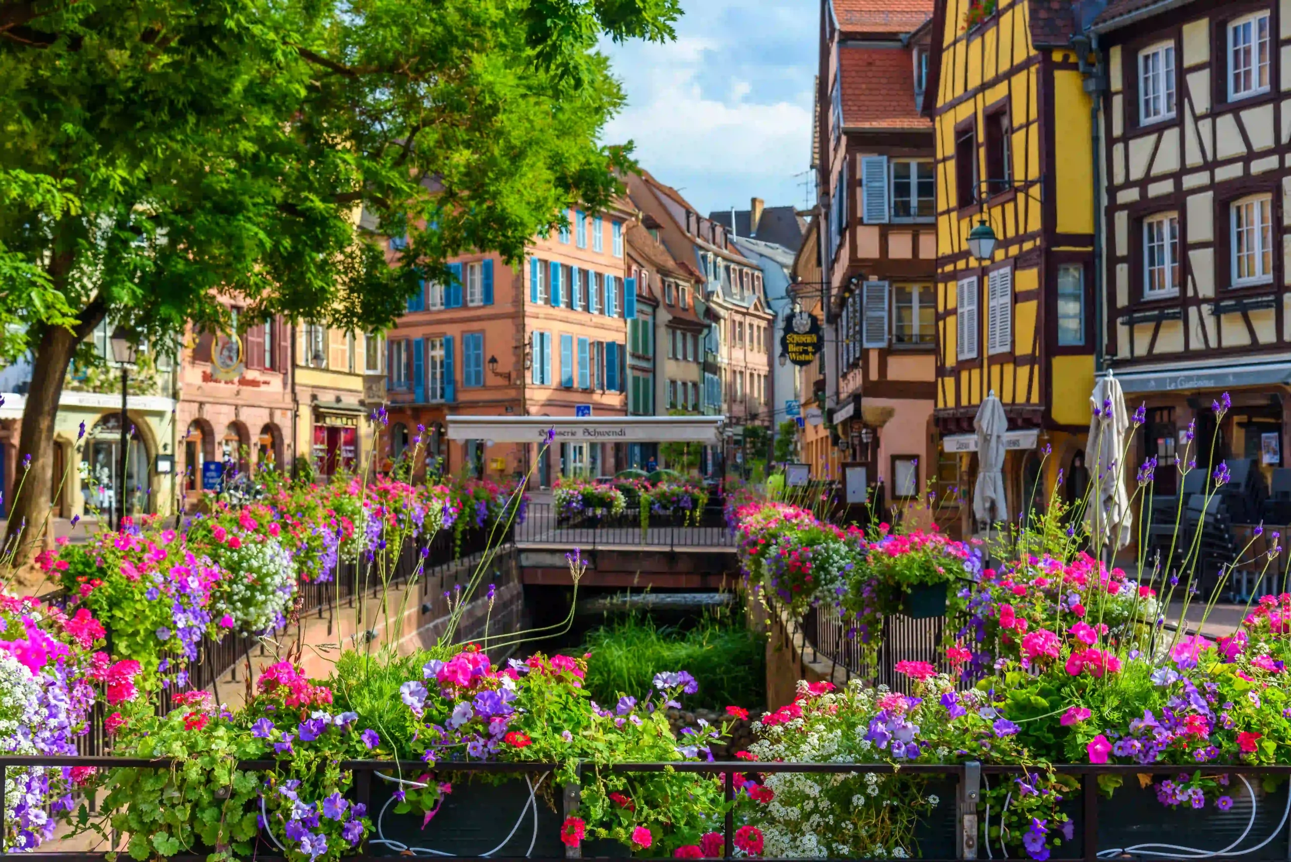 Colmar